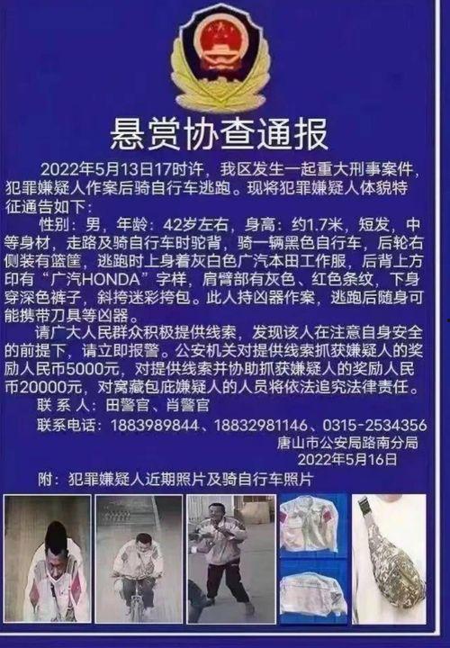 天津爆料唐山案件最新,真相与反思交织的黑色风暴